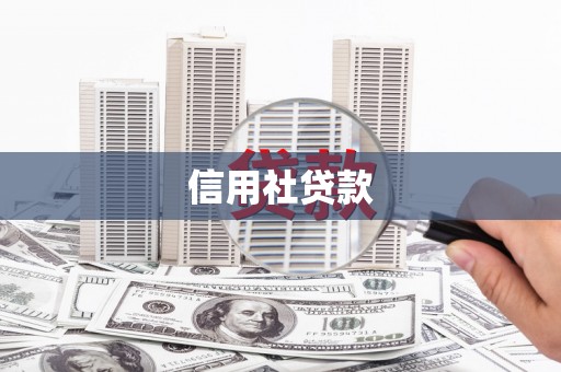 嵊泗信用社贷款