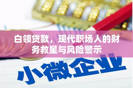 嵊泗白领贷款，现代职场人的财务救星与风险警示