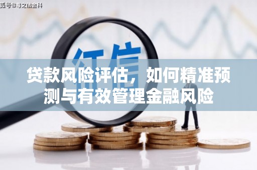 嵊泗贷款风险评估，如何精准预测与有效管理金融风险