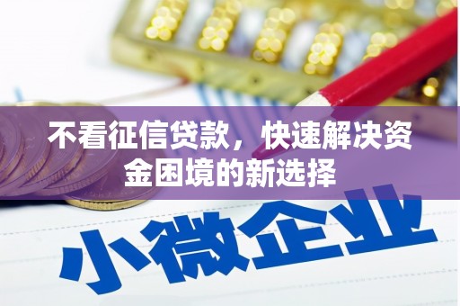 嵊泗不看征信贷款，快速解决资金困境的新选择