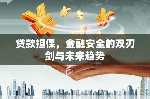 嵊泗贷款担保，金融安全的双刃剑与未来趋势