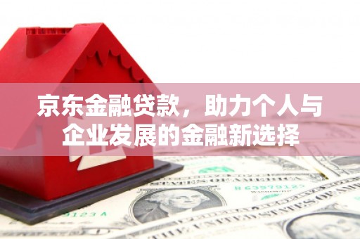 嵊泗京东金融贷款，助力个人与企业发展的金融新选择