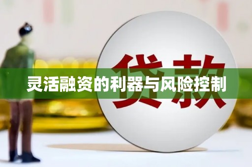 嵊泗灵活融资的利器与风险控制