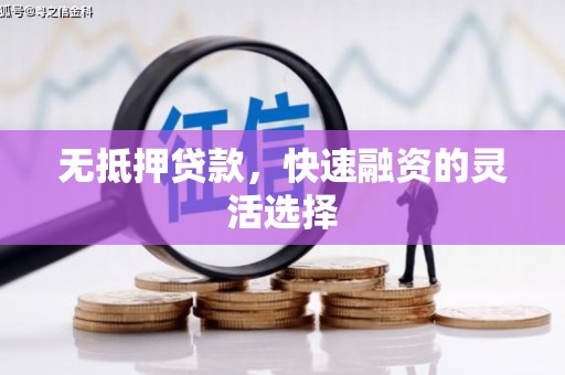 嵊泗无抵押贷款，快速融资的灵活选择