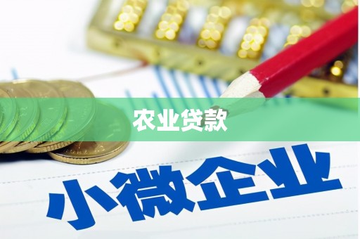 嵊泗农业贷款