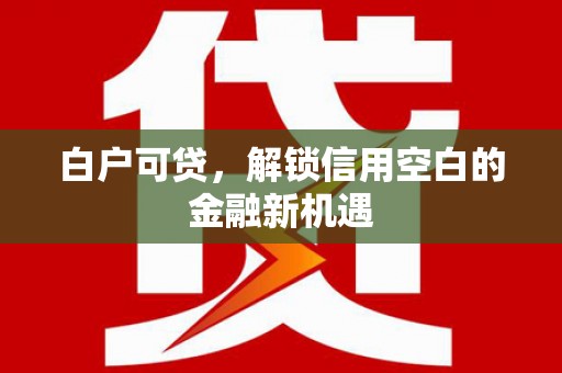 嵊泗白户可贷，解锁信用空白的金融新机遇