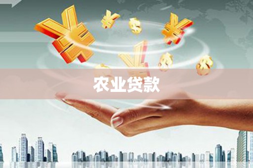 嵊泗农业贷款