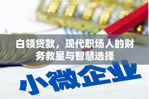 嵊泗白领贷款，现代职场人的财务救星与智慧选择