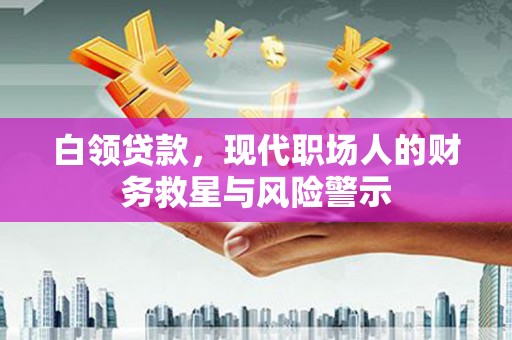 嵊泗白领贷款，现代职场人的财务救星与风险警示