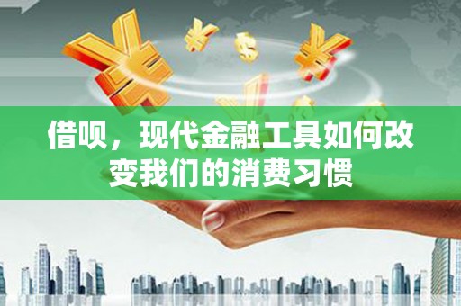 嵊泗借呗，现代金融工具如何改变我们的消费习惯