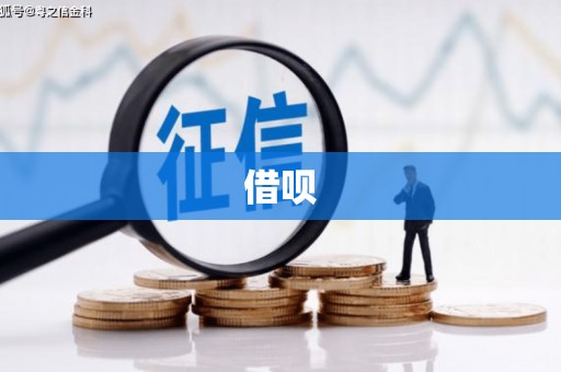 嵊泗借呗