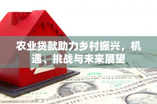 嵊泗农业贷款助力乡村振兴，机遇、挑战与未来展望
