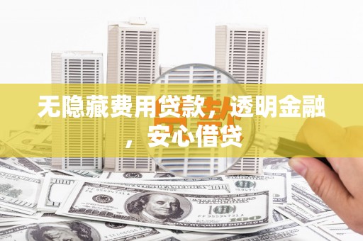 嵊泗无隐藏费用贷款，透明金融，安心借贷
