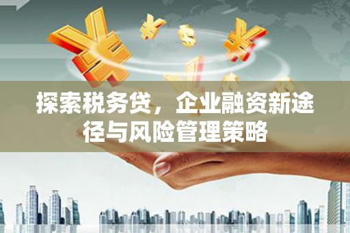 嵊泗探索税务贷，企业融资新途径与风险管理策略
