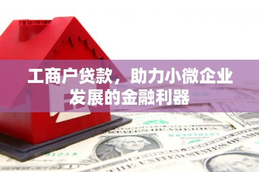 嵊泗工商户贷款，助力小微企业发展的金融利器