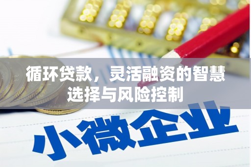 嵊泗循环贷款，灵活融资的智慧选择与风险控制