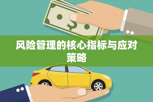 嵊泗风险管理的核心指标与应对策略