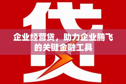 嵊泗企业经营贷，助力企业腾飞的关键金融工具