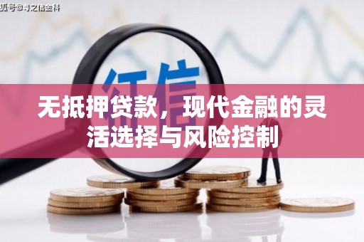 嵊泗无抵押贷款，现代金融的灵活选择与风险控制