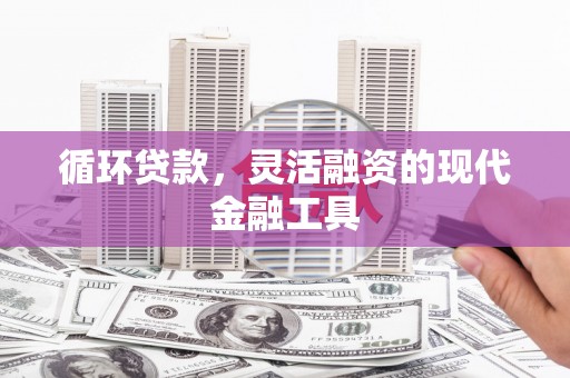 嵊泗循环贷款，灵活融资的现代金融工具