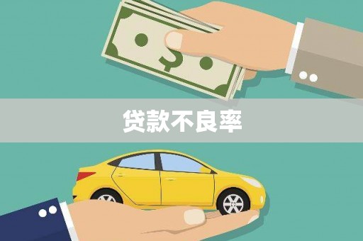 嵊泗贷款不良率