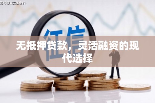嵊泗无抵押贷款，灵活融资的现代选择