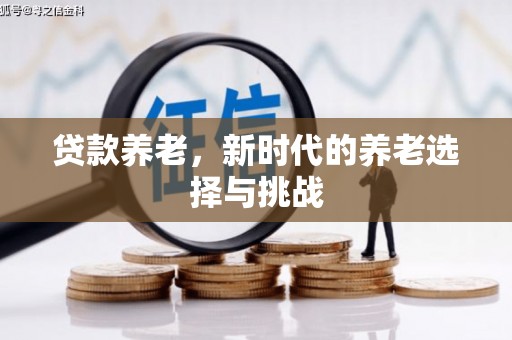嵊泗贷款养老，新时代的养老选择与挑战