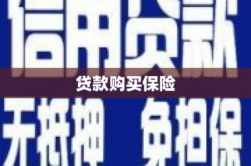嵊泗贷款购买保险