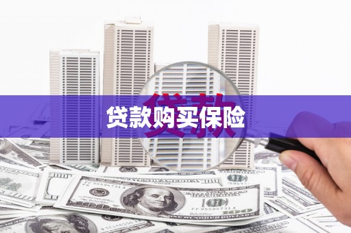 嵊泗贷款购买保险