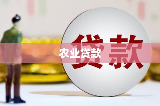 嵊泗农业贷款