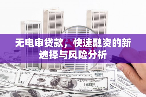 嵊泗无电审贷款，快速融资的新选择与风险分析