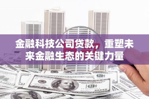 嵊泗金融科技公司贷款，重塑未来金融生态的关键力量