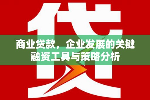嵊泗商业贷款，企业发展的关键融资工具与策略分析