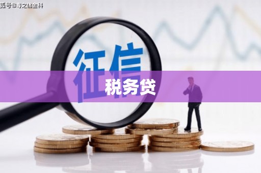 嵊泗税务贷