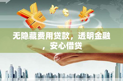 嵊泗无隐藏费用贷款，透明金融，安心借贷