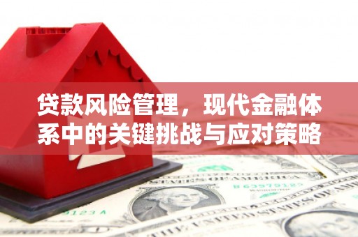 嵊泗贷款风险管理，现代金融体系中的关键挑战与应对策略