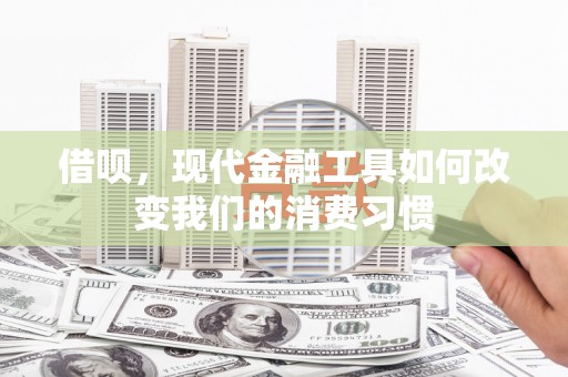 嵊泗借呗，现代金融工具如何改变我们的消费习惯