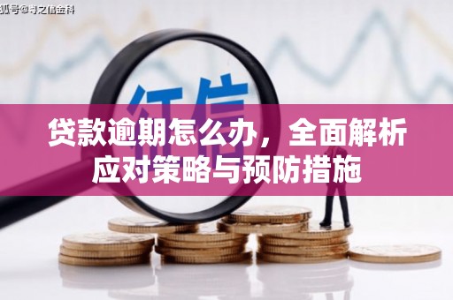 嵊泗贷款逾期怎么办，全面解析应对策略与预防措施