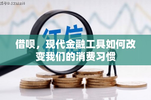 嵊泗借呗，现代金融工具如何改变我们的消费习惯