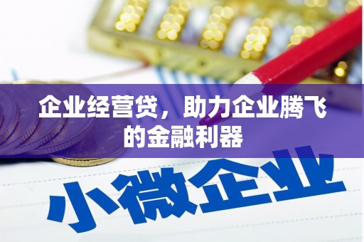 嵊泗企业经营贷，助力企业腾飞的金融利器