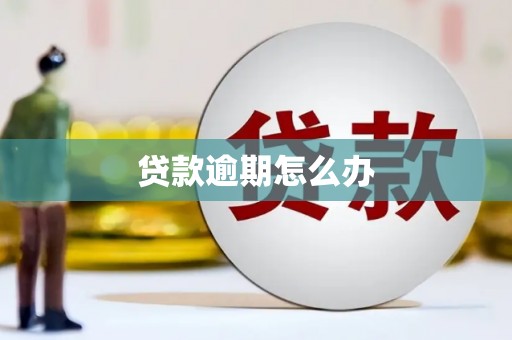 嵊泗贷款逾期怎么办