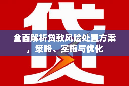 嵊泗全面解析贷款风险处置方案，策略、实施与优化
