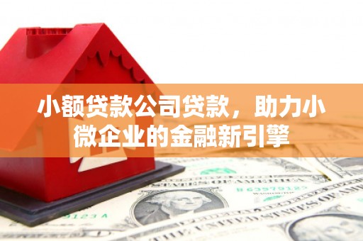 嵊泗小额贷款公司贷款，助力小微企业的金融新引擎