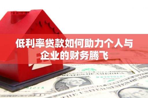 嵊泗低利率贷款如何助力个人与企业的财务腾飞