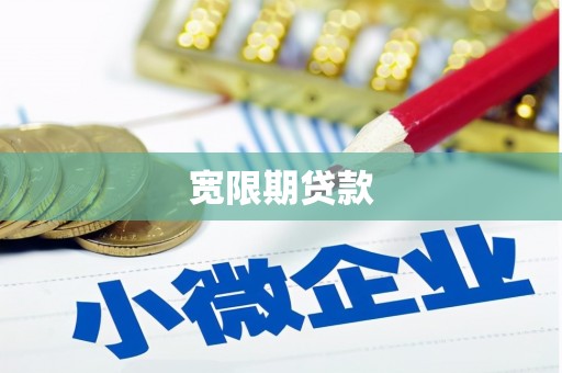 嵊泗宽限期贷款
