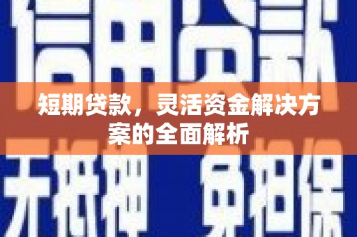 嵊泗短期贷款，灵活资金解决方案的全面解析