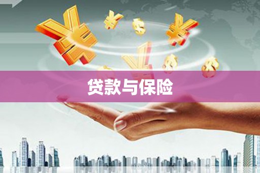 嵊泗贷款与保险