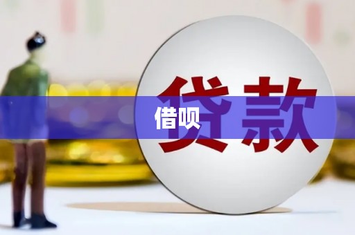 嵊泗借呗