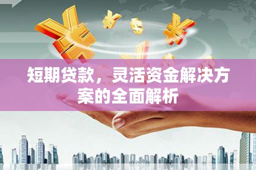 嵊泗短期贷款，灵活资金解决方案的全面解析