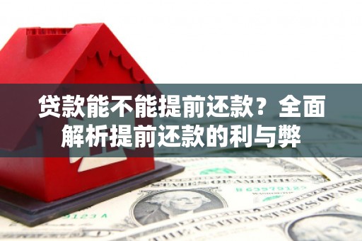 嵊泗贷款能不能提前还款？全面解析提前还款的利与弊